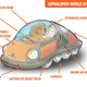Illustration for article titled If Squids Ruled Earth, What Would Their Cars Be Like?